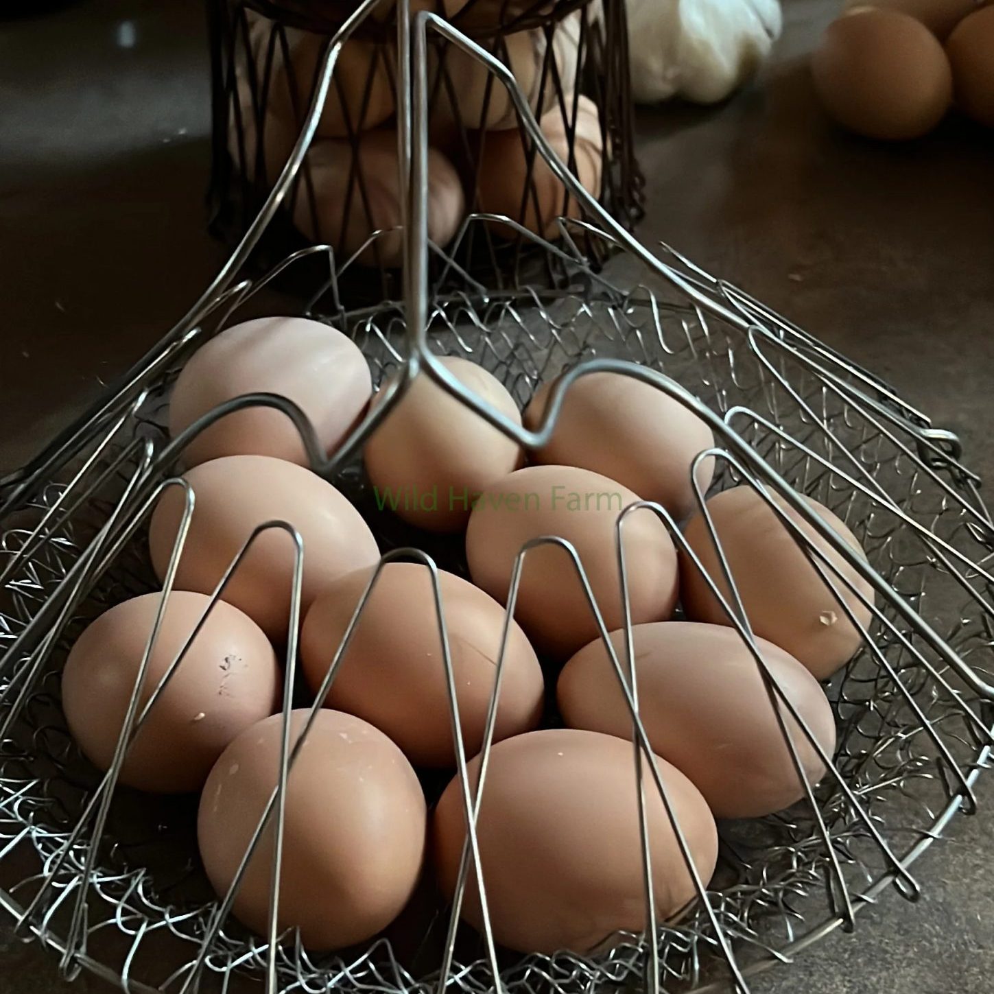 11 chicken eggs in a wire basket