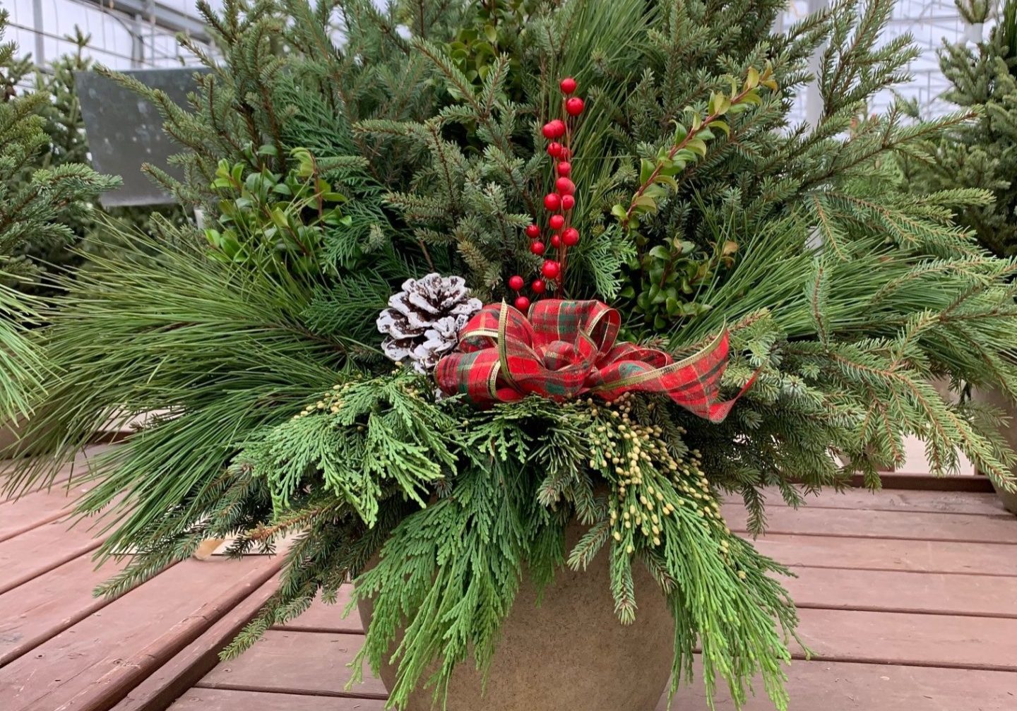 pinecones-berries-spruce-pot